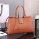 CELINE MEDIUM APPOLINE BAG in calfskin(HIGH-END GRADE)