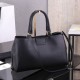 CELINE MEDIUM APPOLINE BAG in calfskin(HIGH-END GRADE)