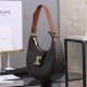 CELINE MEDIUM AVA TRIOMPHE BAG in Triomphe Canvas and calfskin