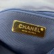 CHANEL 19 HANDBAG