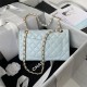 SMALL CLASSIC HANDBAG