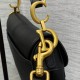 DIOR Mini Saddle Bag with Strap