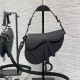 DIOR Mini Saddle Bag with Strap