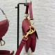 DIOR Mini Saddle Bag with Strap