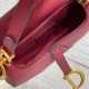 DIOR Mini Saddle Bag with Strap