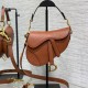 DIOR Mini Saddle Bag with Strap