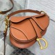 DIOR Mini Saddle Bag with Strap