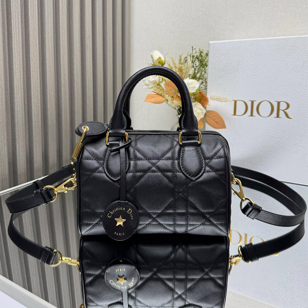 Dior Groove 20 Bag(HIGH-END GRADE)