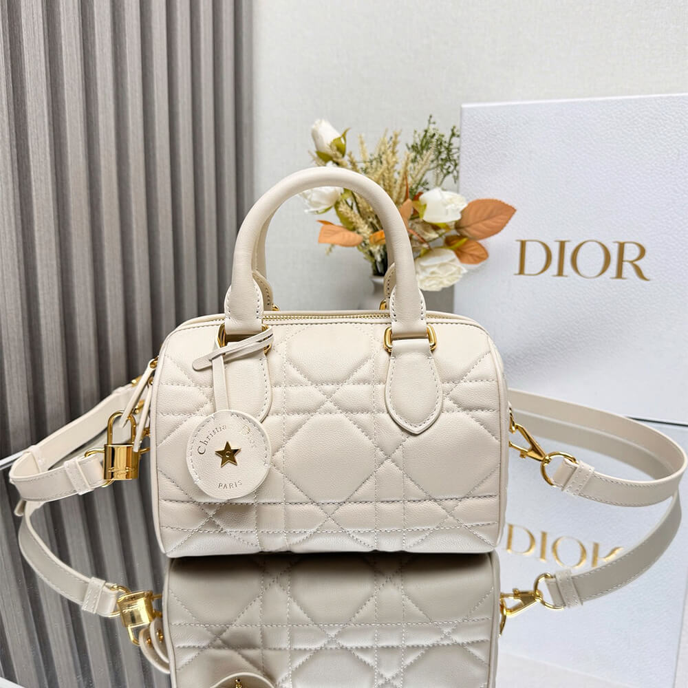 Dior Groove 20 Bag(HIGH-END GRADE)