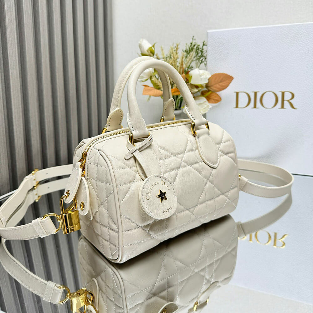 Dior Groove 20 Bag(HIGH-END GRADE)