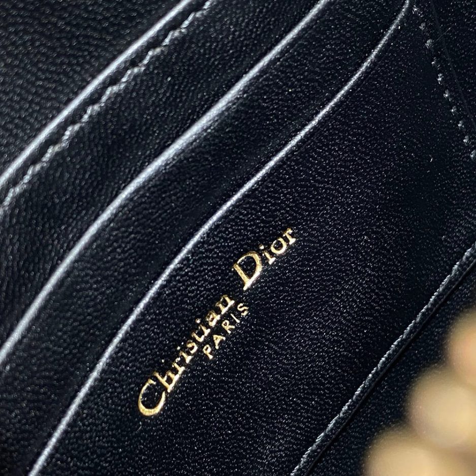 Dior Saddle Rodeo Pouch