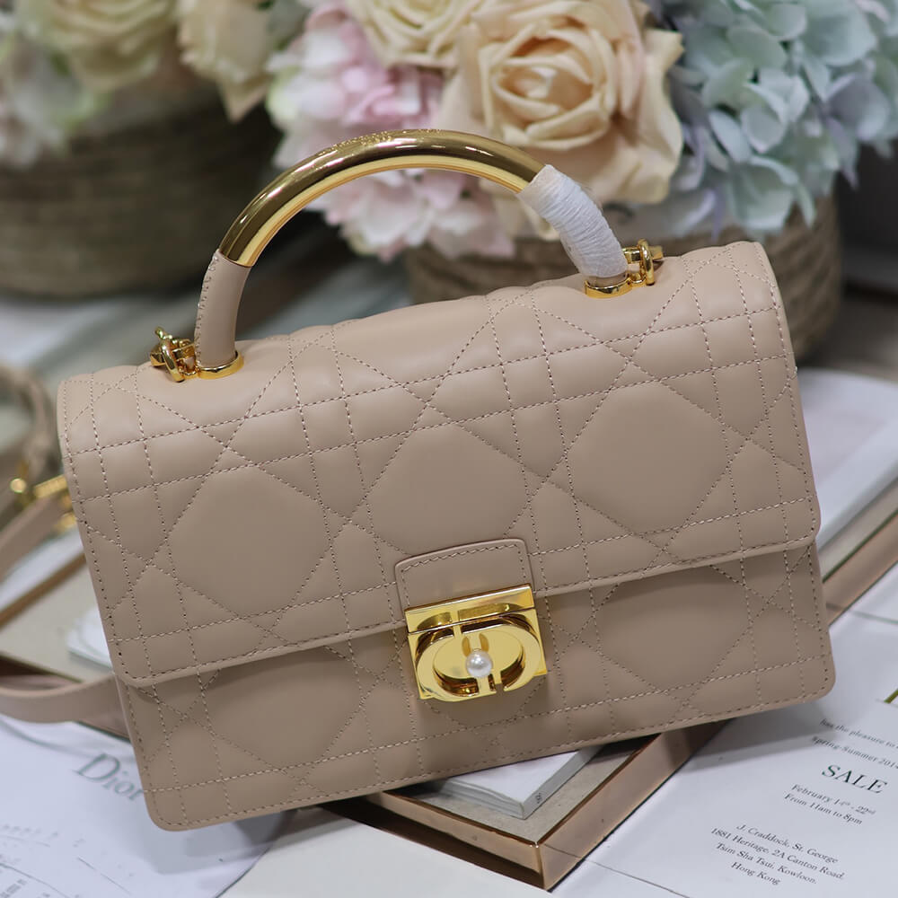 Medium Dior Ange Bag