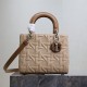 Medium Lady Dior Bag