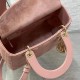 Medium Lady Dior Bag