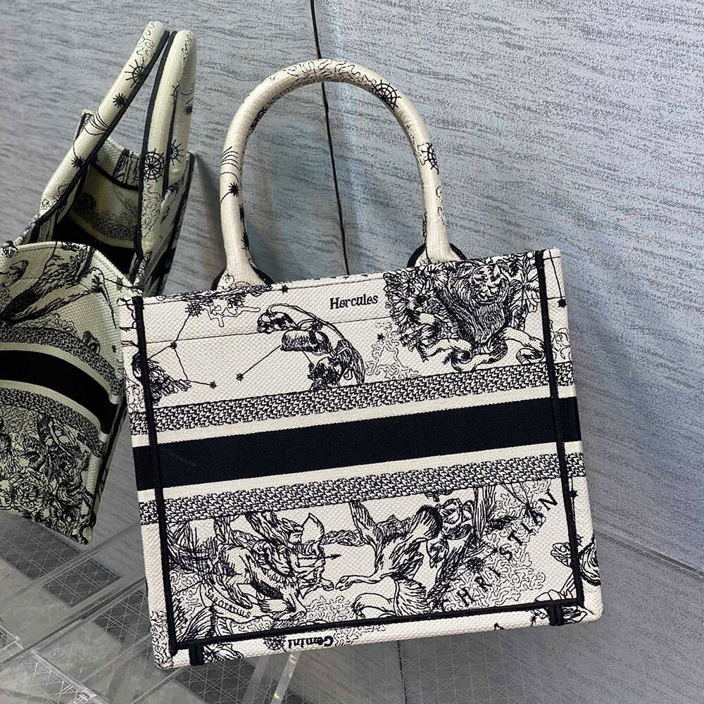 Small Dior Book Tote