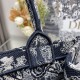 Small Dior Book Tote