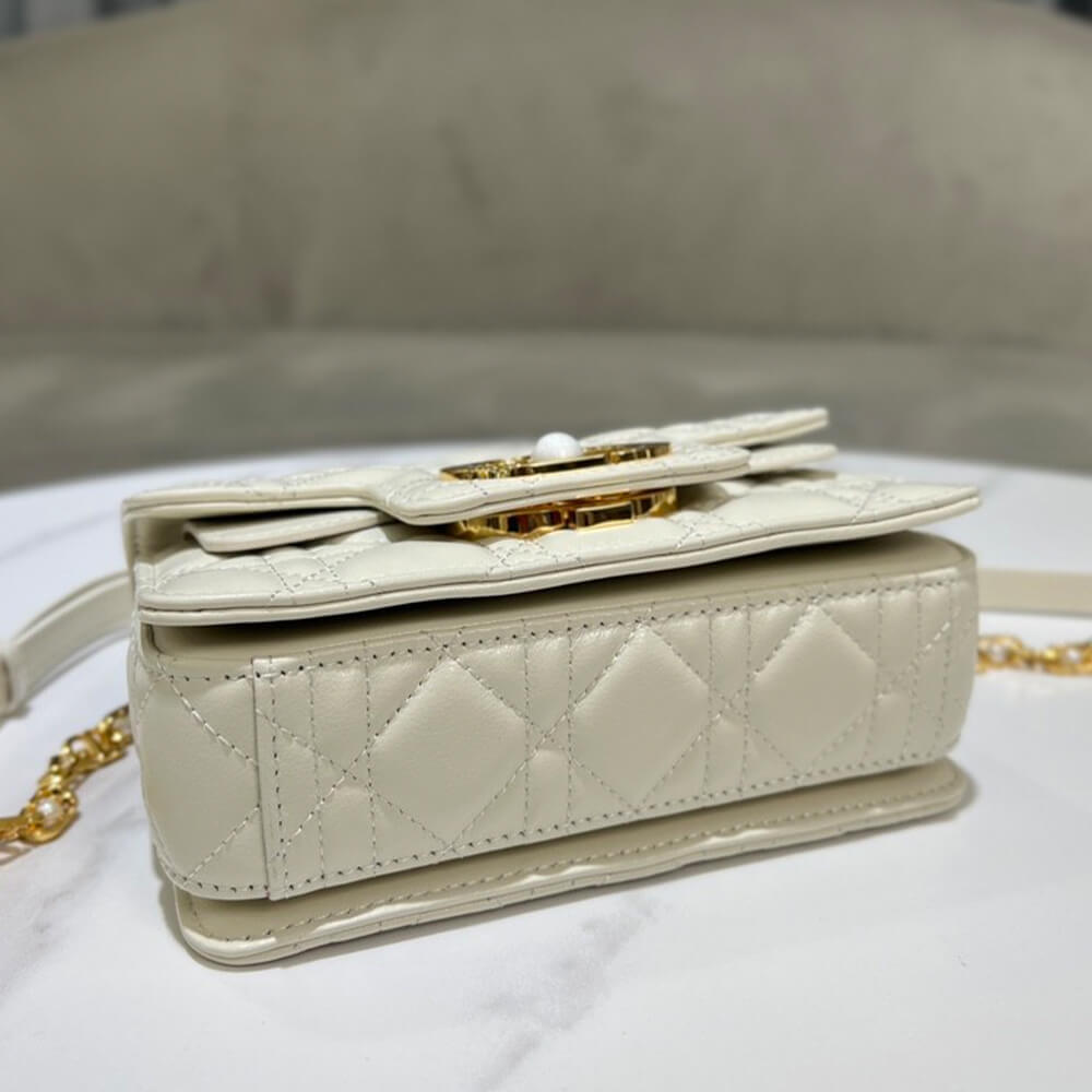 Small Dior Jolie handbag