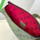 LV Moon Crossbody