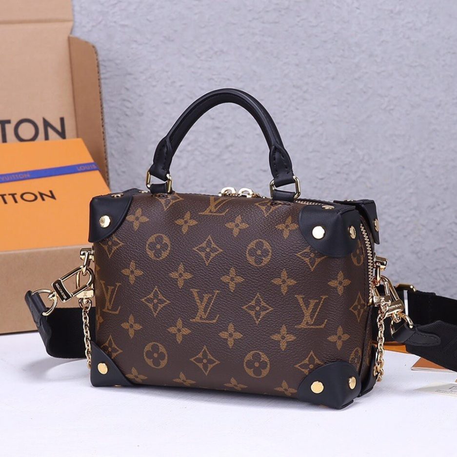 LV Petite Malle Souple Handbag-2