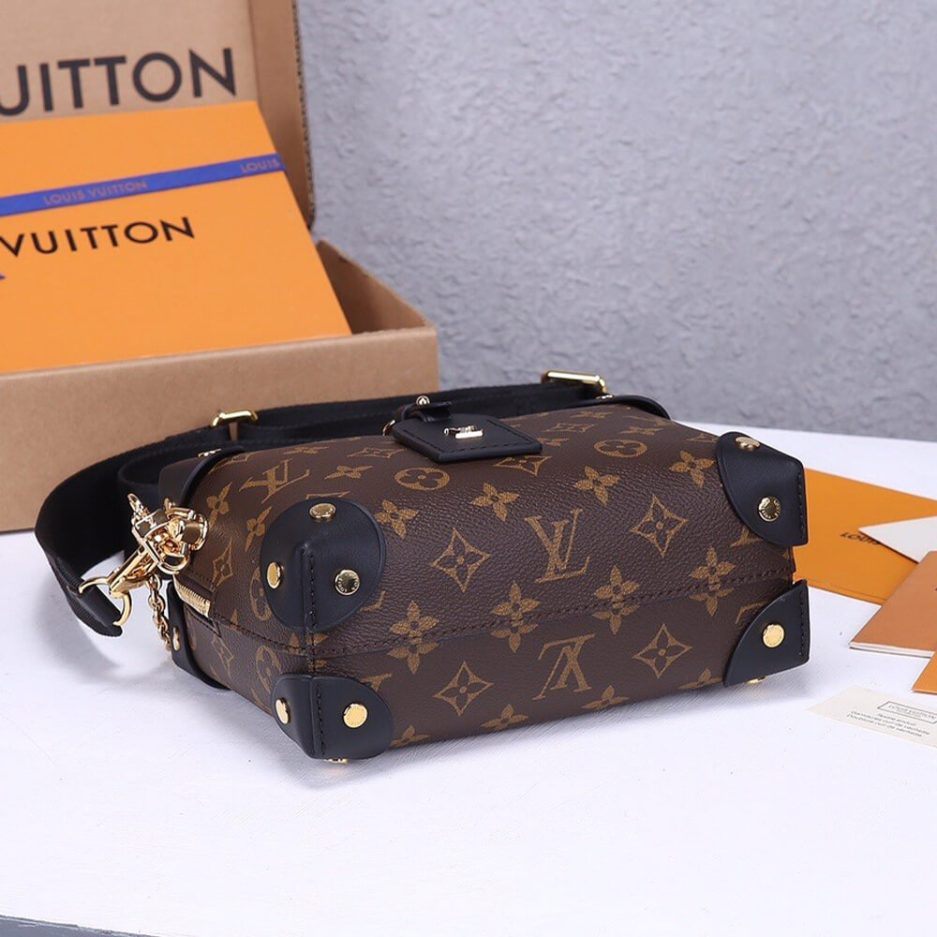 LV Petite Malle Souple Handbag-2