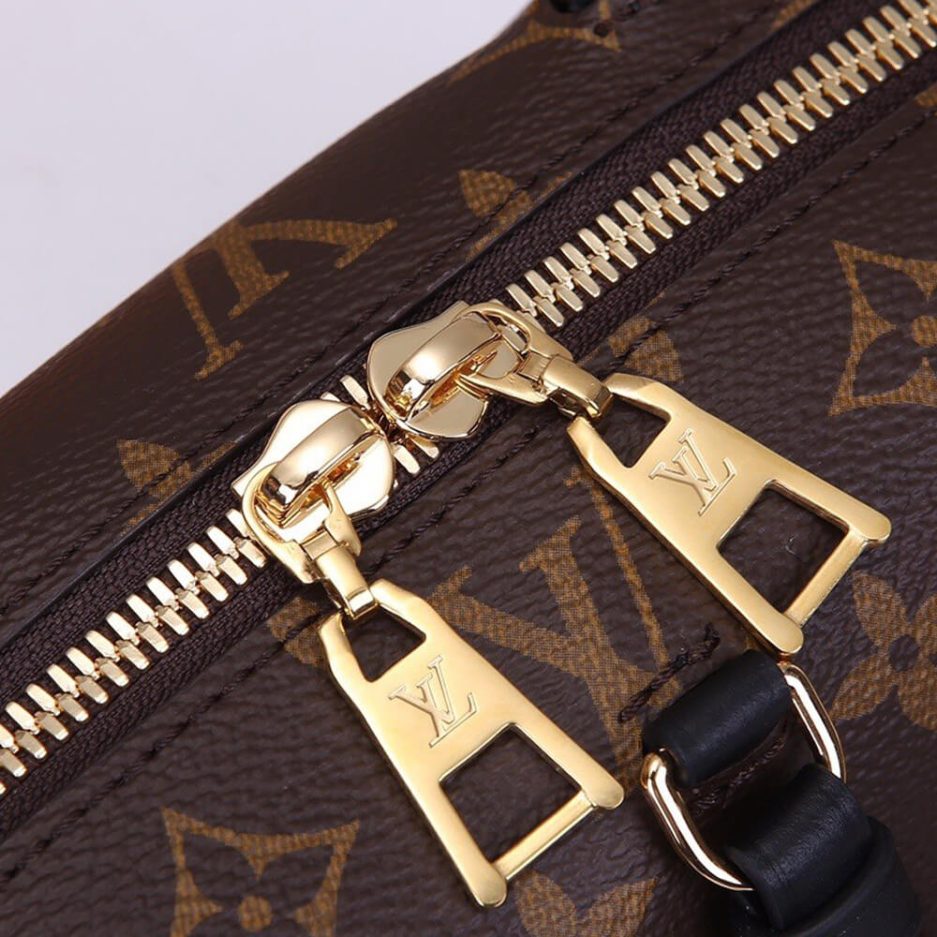 LV Petite Malle Souple Handbag-2